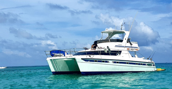 catamaran for sale seychelles